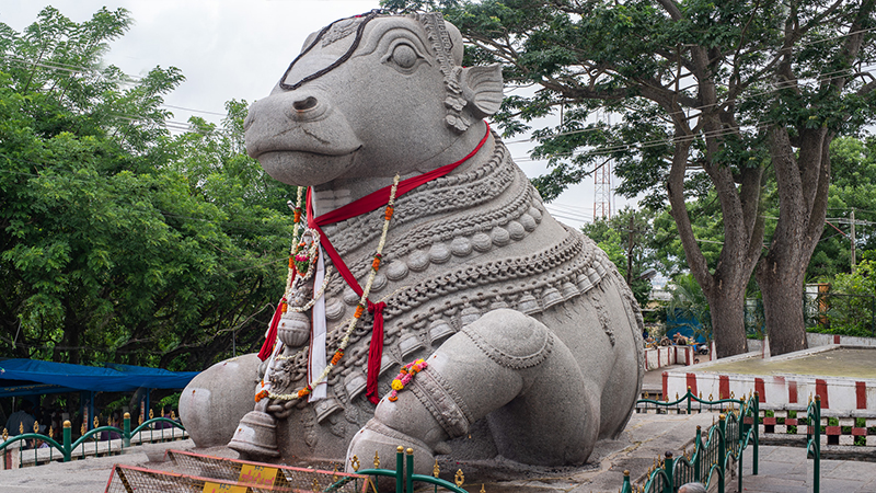 Nandi Statue