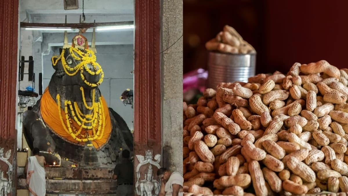 Kadalekayi Parishe 2025: Celebrating Bengaluru’s 500 -Year-Old Groundnut Tradition