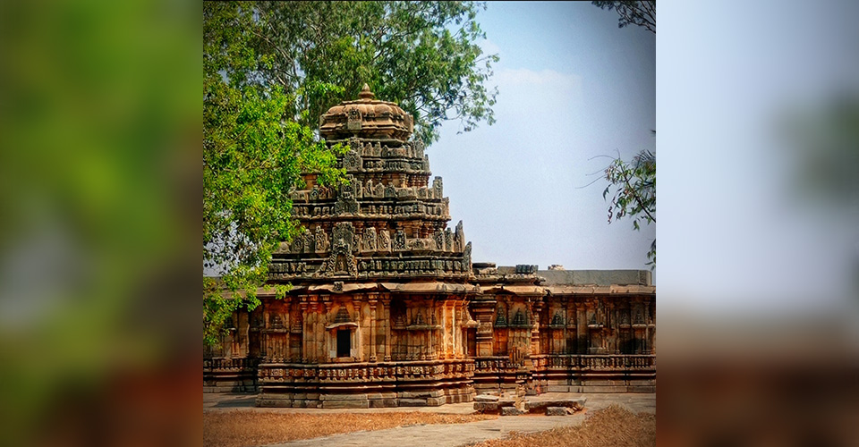 Bhimeshvara temple Interiors