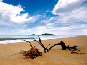 Devbagh Beach Karwar