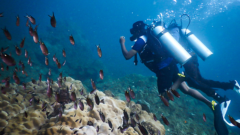 Scuba Diving Cost
