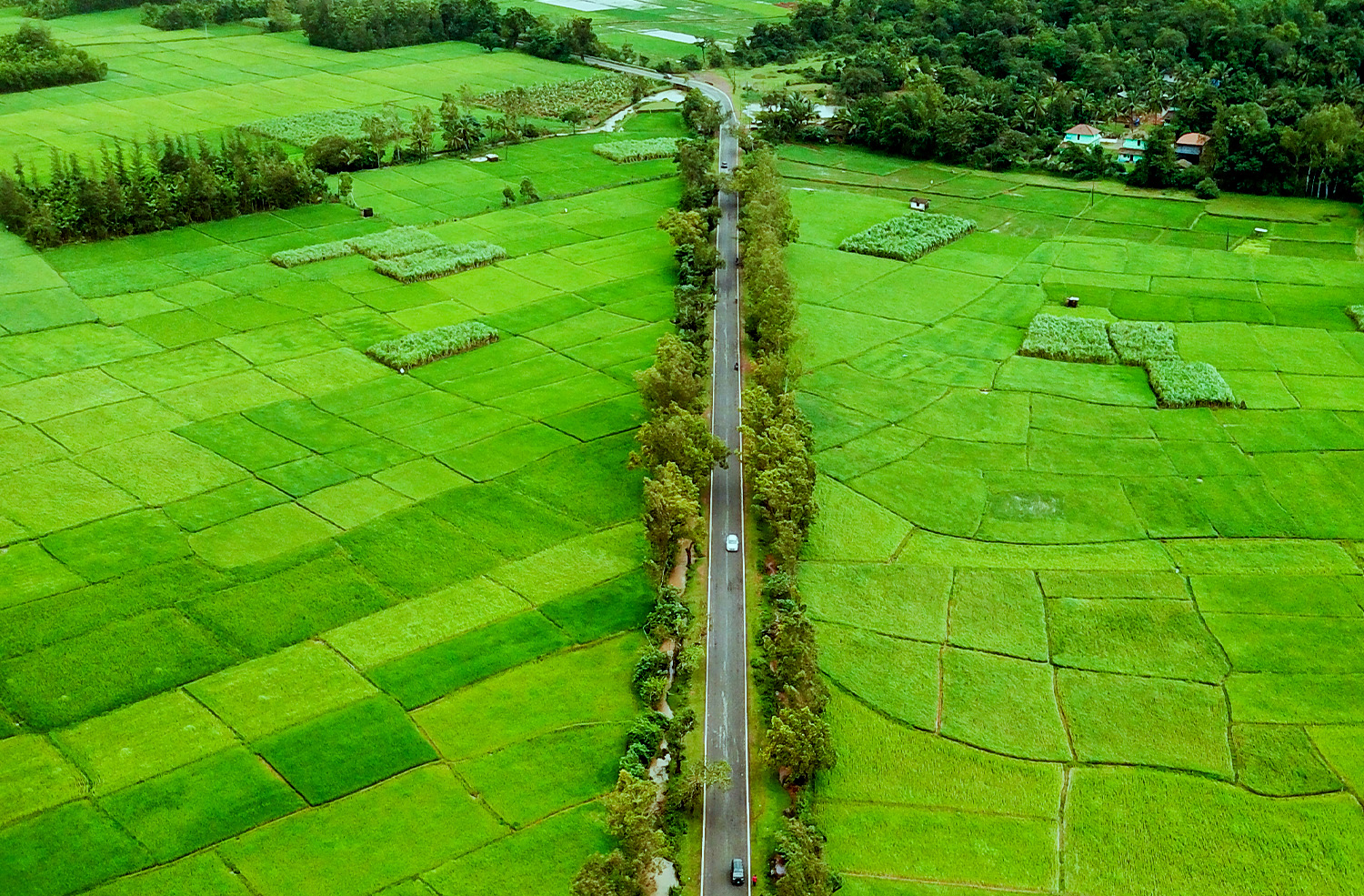 Shivamogga tourism experience shivamogga Jog Falls Karnataka