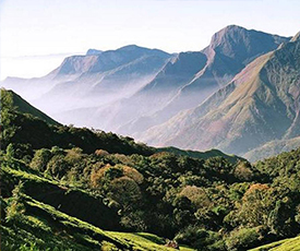 Explore in Western Ghats